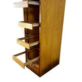 Vintage curtain wardrobe / archive cabinet with file supports