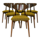Lot de 6 chaises de salle à manger modernes en hêtre, bouclé jaune, bois foncé