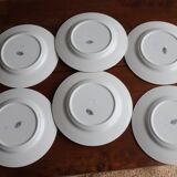 6 assiettes fleuries KG Lunéville