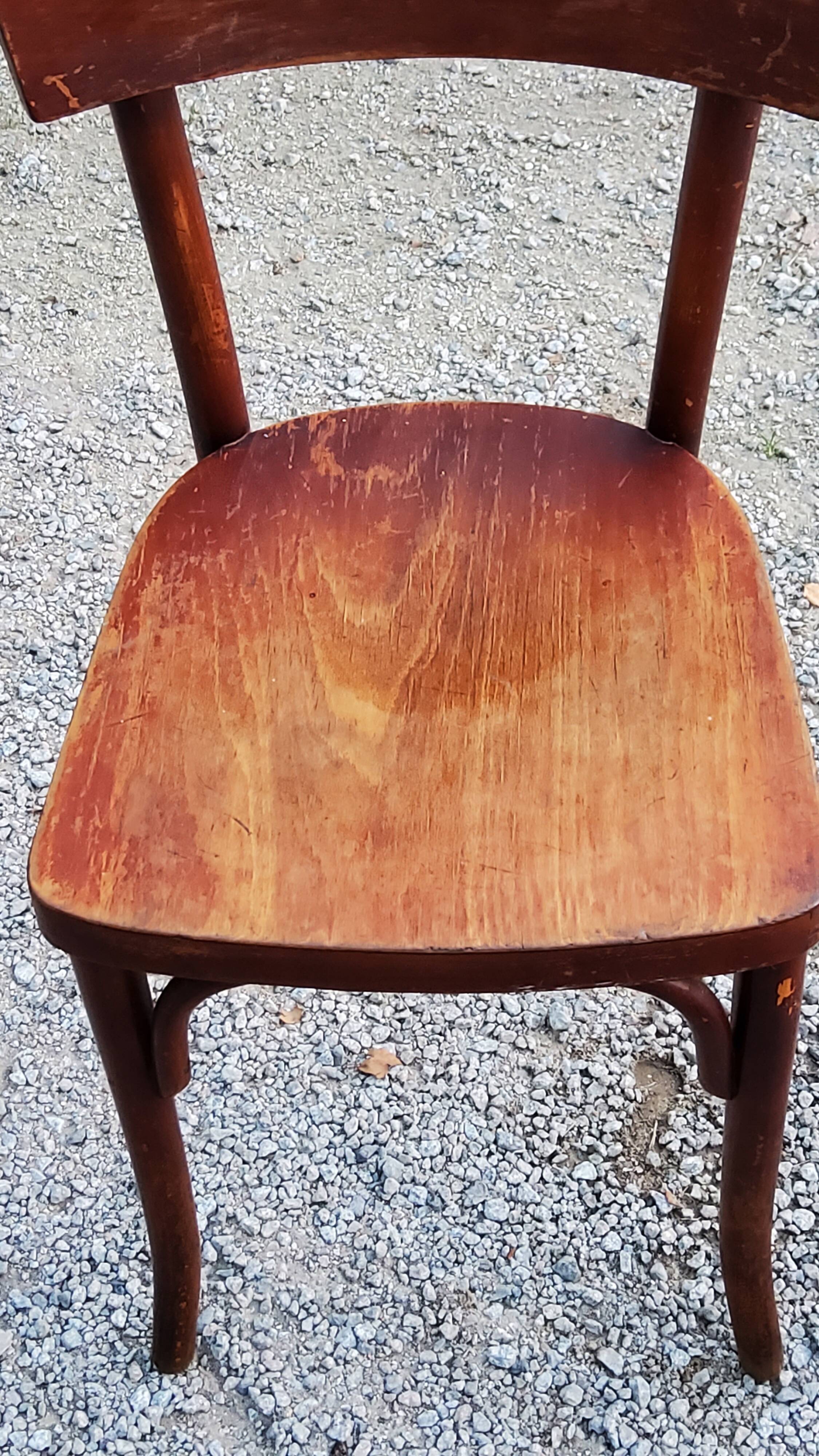 Set of 5 Stella Thonet bistro chairs from the 1950s