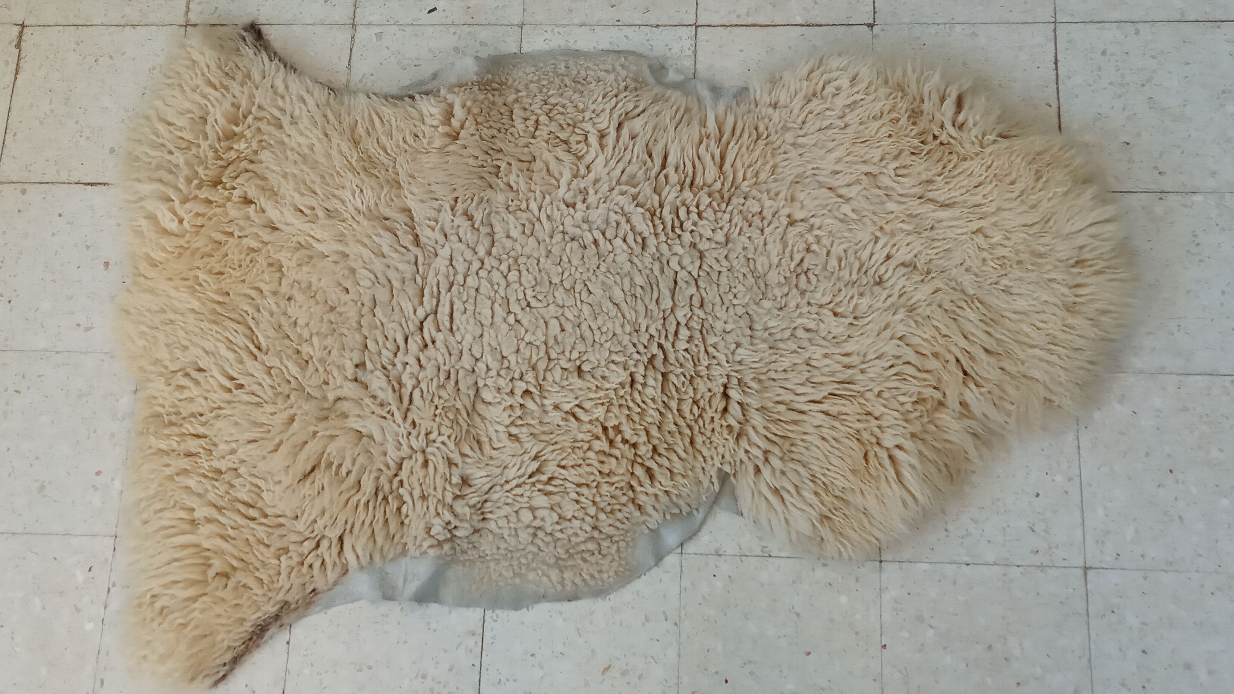 White sheepskin 107×75 cm