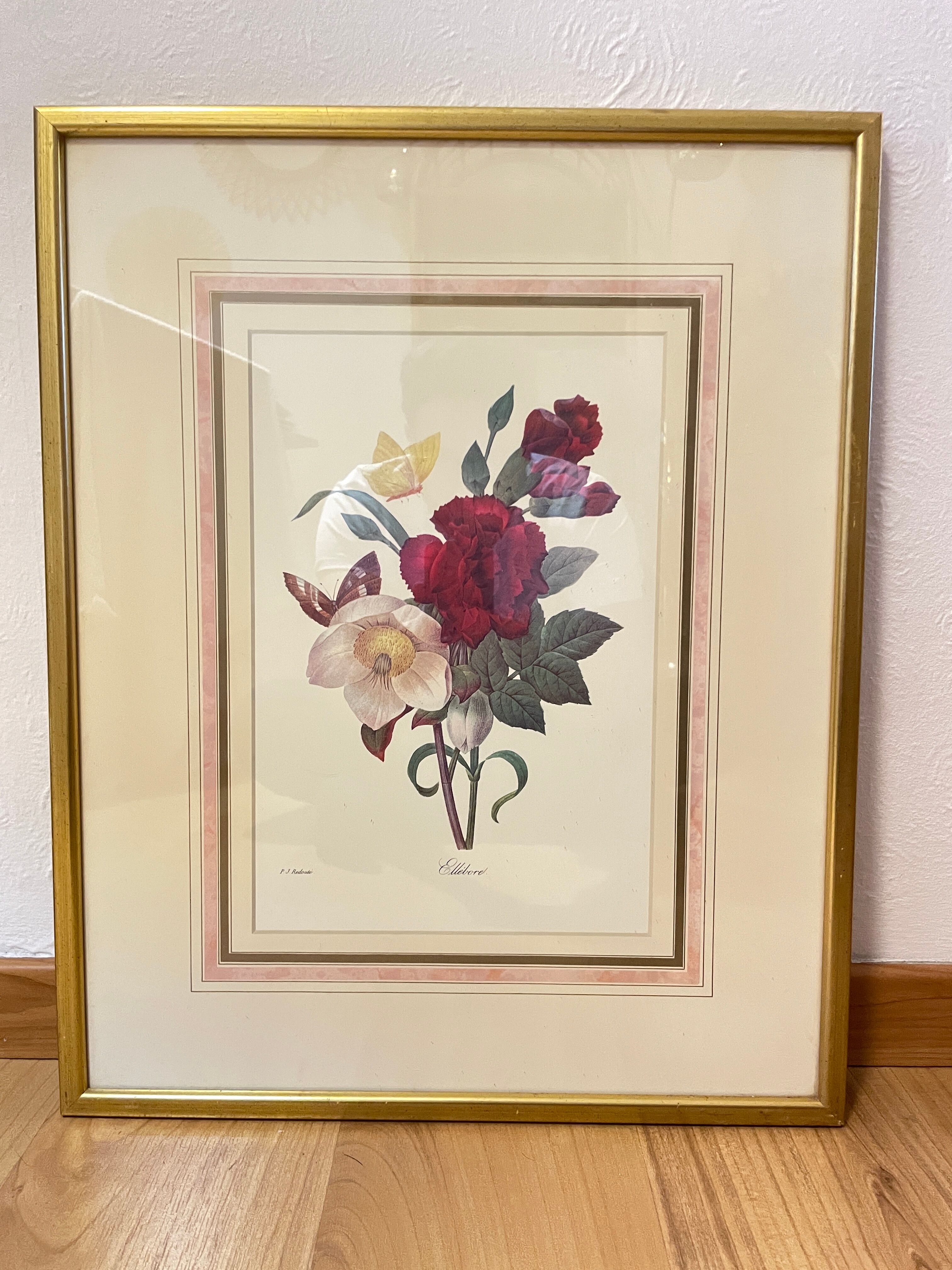 Floral lithograph by P.J Redouté
