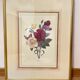 Lithographie florale de P.J Redouté