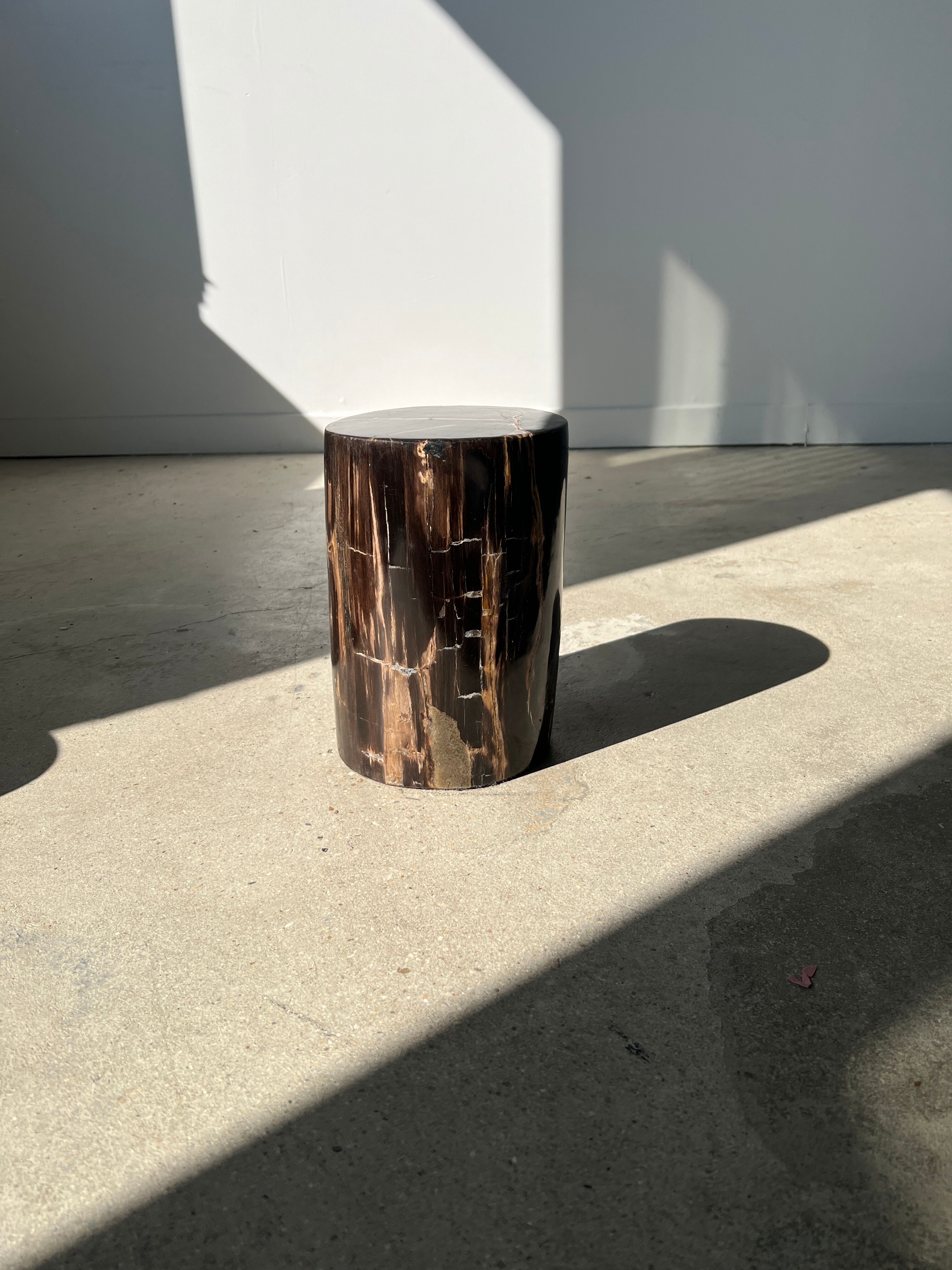 Side table in black petrified wood with light streaks h: 27,5cm d:18,5cm