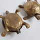 Pair of zoomorphic ashtrays, golden brass turtles
