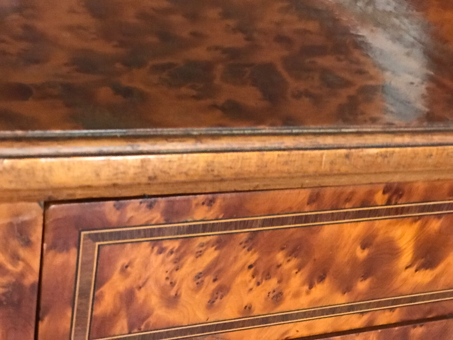 Desk in elm burl and bronze