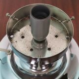 Pair of Italian Murano lamps