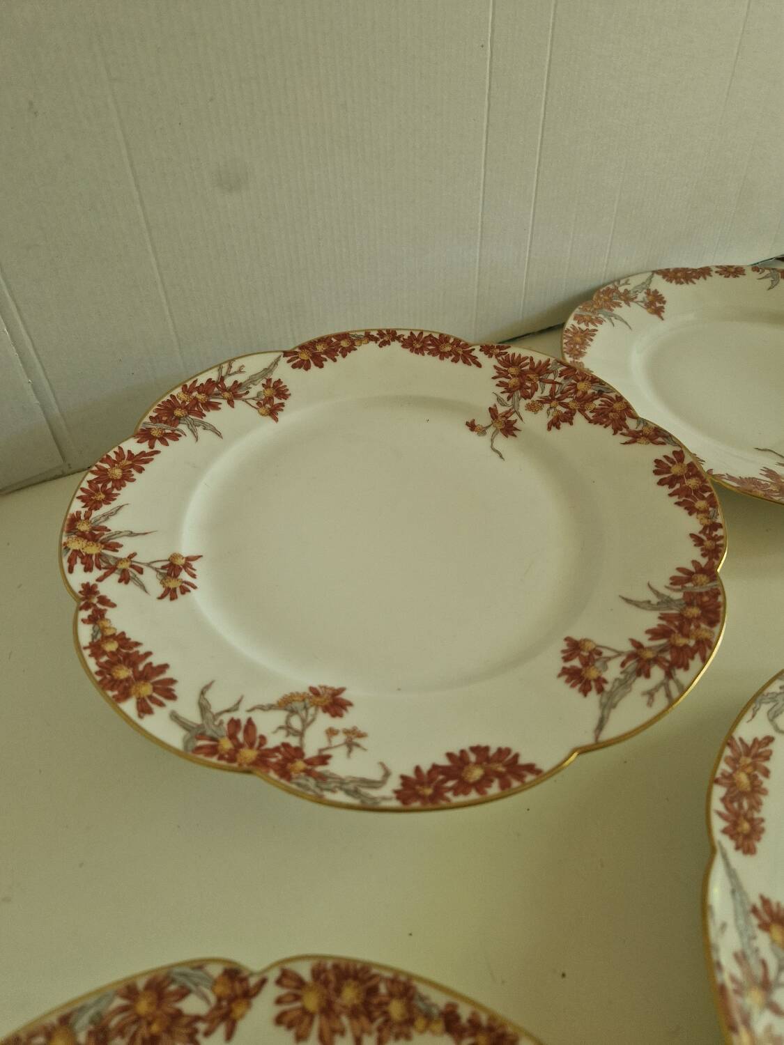 Lot of 11 Porcelain Dinner Plates Plus Presentation Dish Manufactured