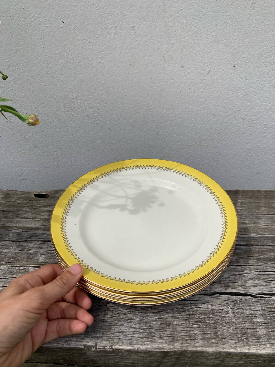 3 Biarritz Basque yellow plates