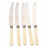 Box of 5 dessert knives in Sheffield steel with imitation bone handle.