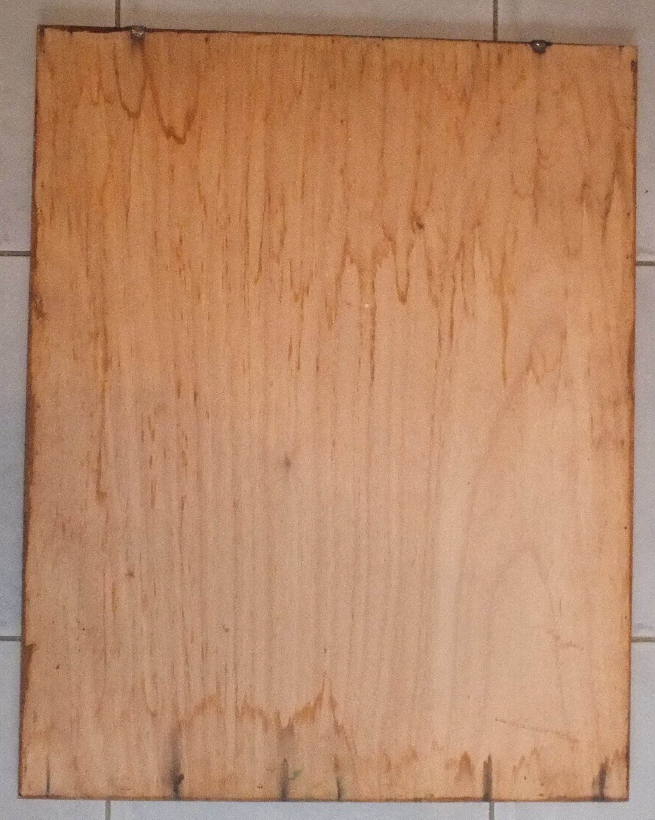 Jacques Lanore's pedagogical poster - Le Boeuf (shoulder)