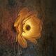 Flower wall light made of rattan petals and gold fabric