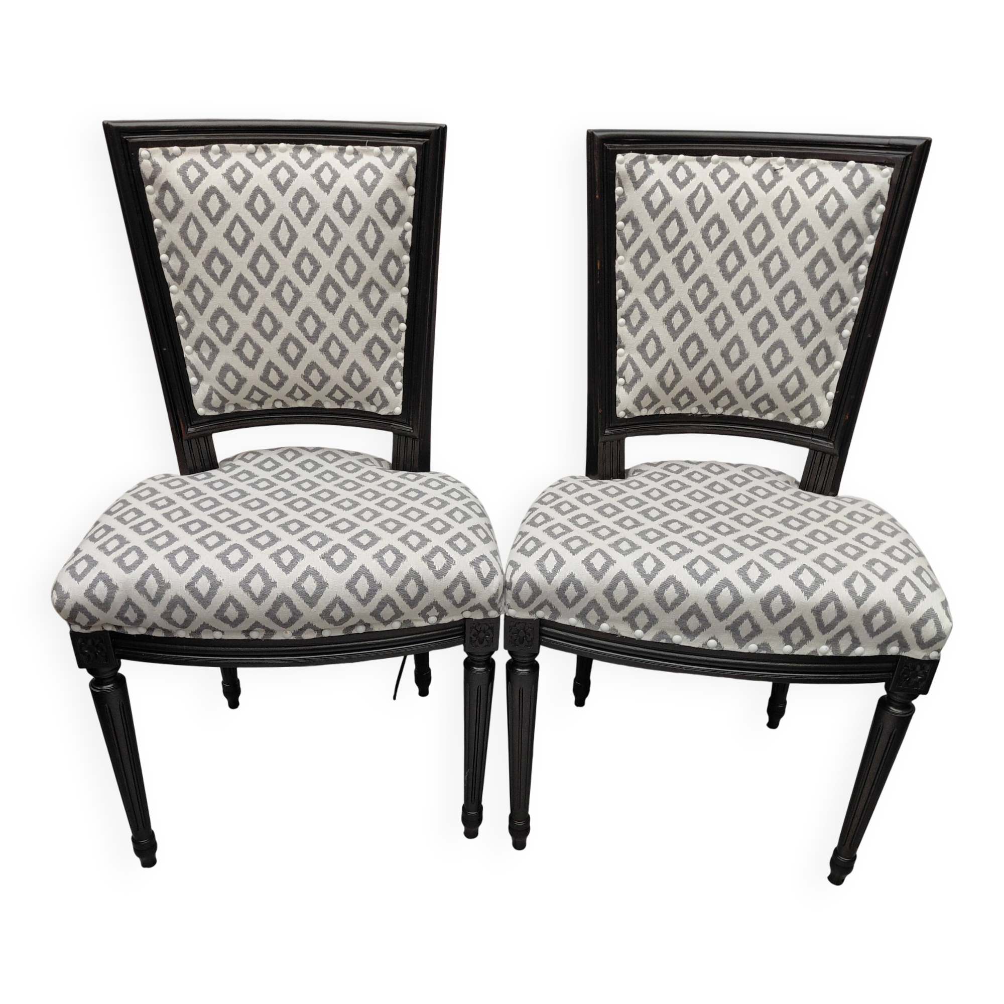Paire de chaises moderne