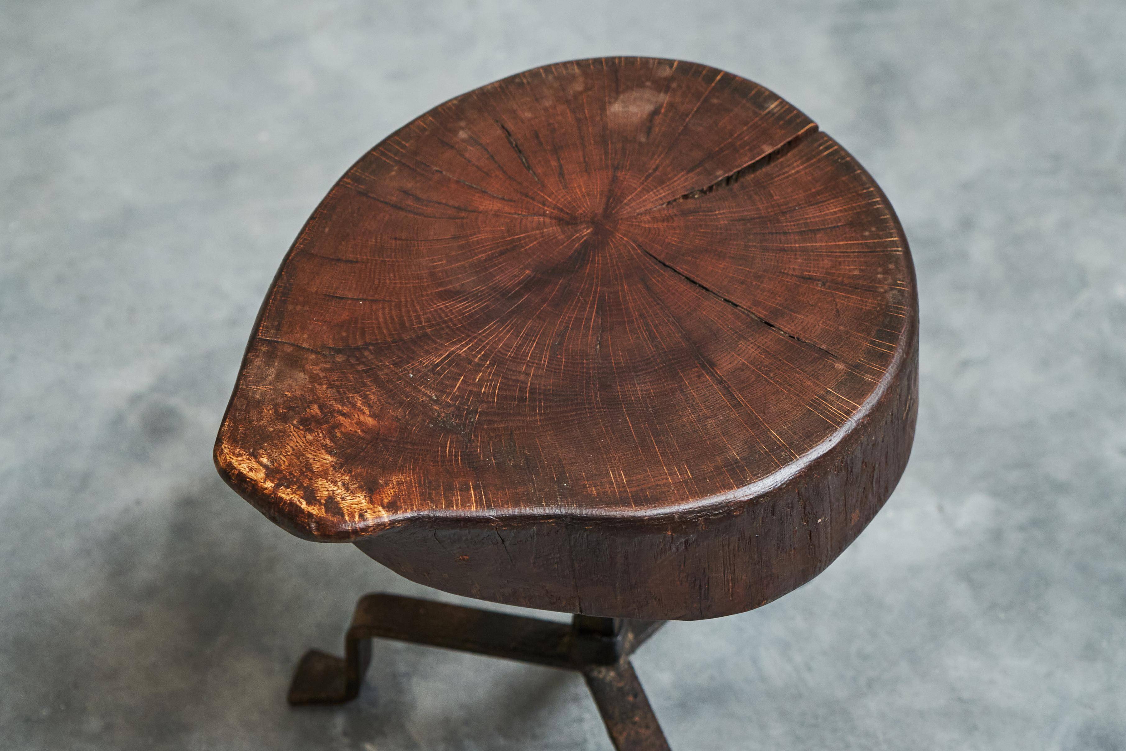 Tree Stump Stool or Solid Wood and Wrought Iron Side Table, Mid-Century