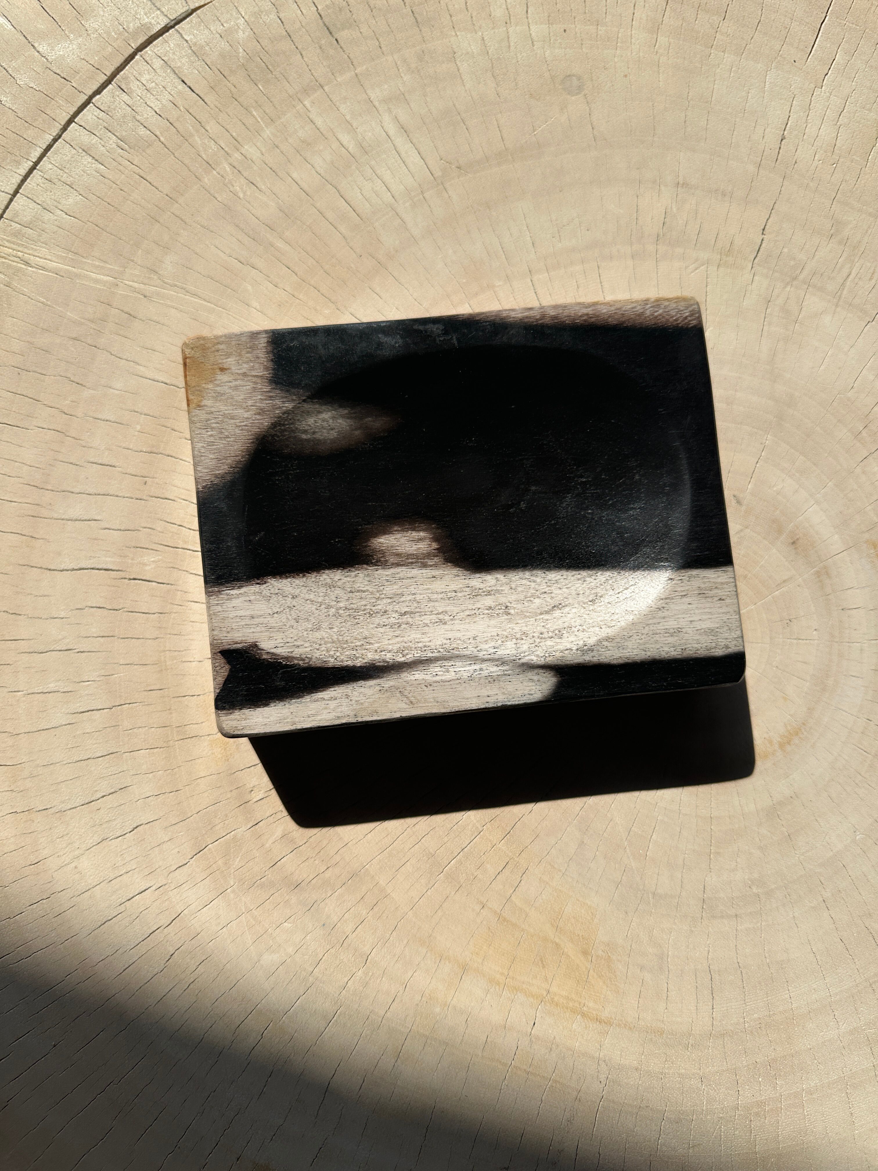 Symmetrical multicolored petrified wood soap dish