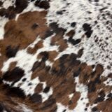 Peau de vache normande ht 240 x 230