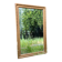 19th Century Beveled Gilded Wood Mirror in Louis XVI Style – 45 x 72 cm