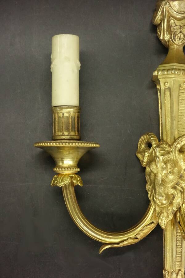 Large Louis XVI style ram's head and urn wall lamp - gilded bronze