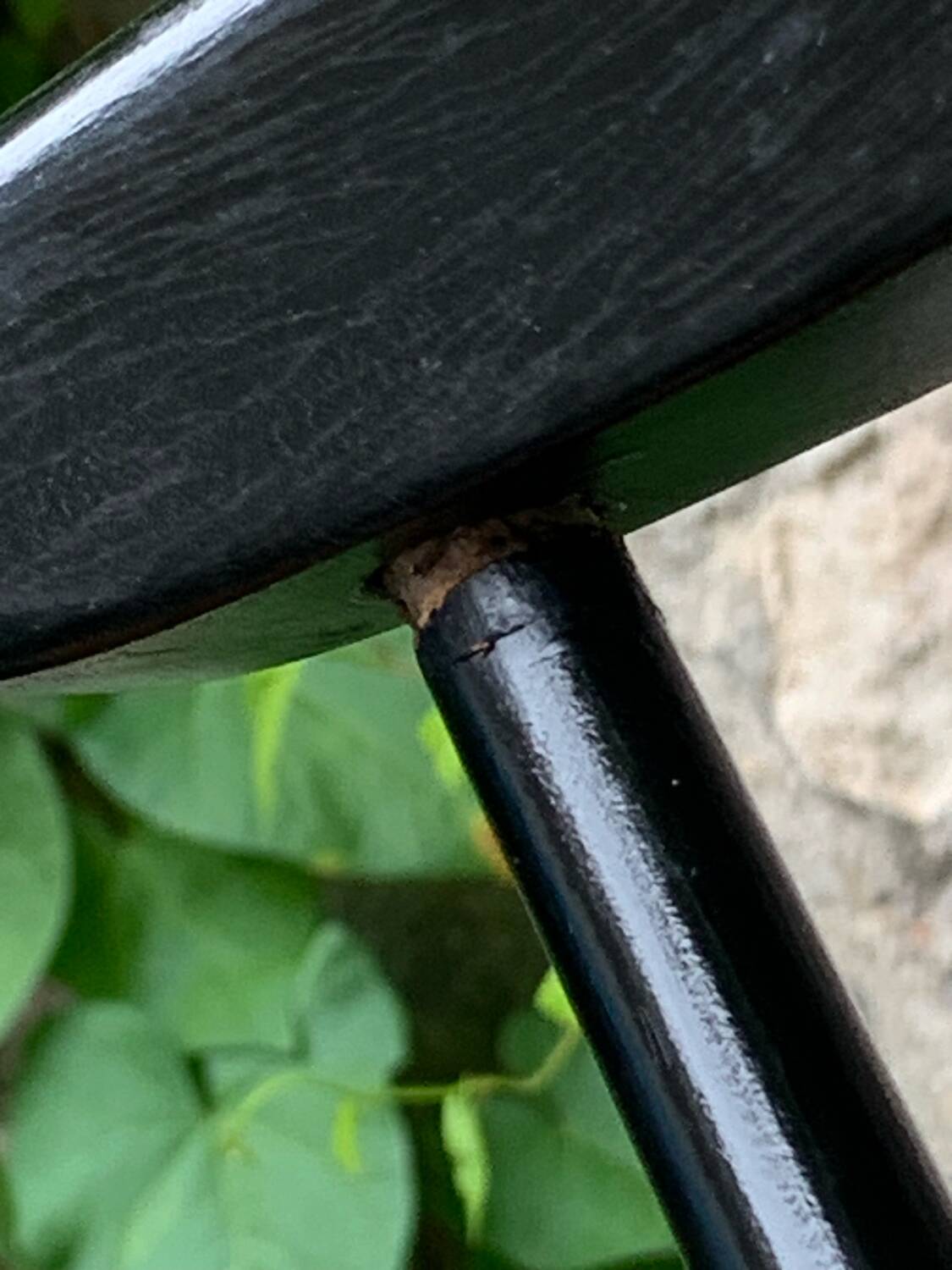 Pair of Scandinavian chairs 1950