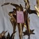 Rare suspension / antique chandelier with 5 lights - Flowers & Foliage in gilded metal