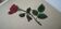Dessin d'école,d'étude années 20 "Rose"
