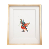 Kingfisher