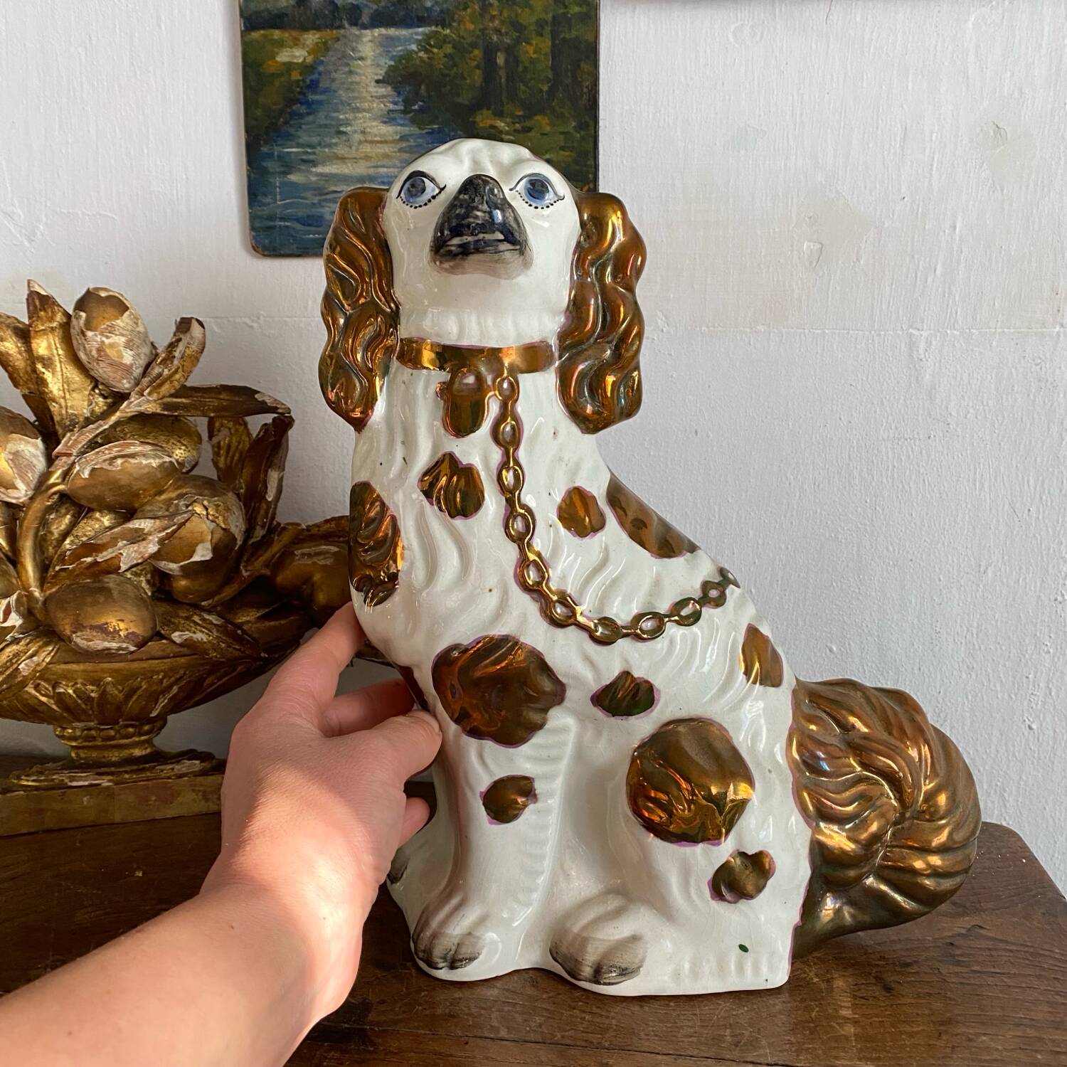 Chien Straffordshire , cavalier King, Charles