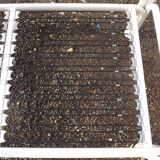 Sofa by Gae Aulenti, published by Knoll in the 70s