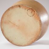 Pitcher in Berry sandstone