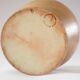 Pitcher in Berry sandstone