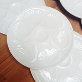 Set of 6 white oyster plates