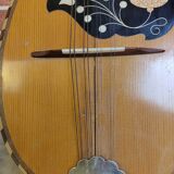 Mandolin from the beginning of the 20th century