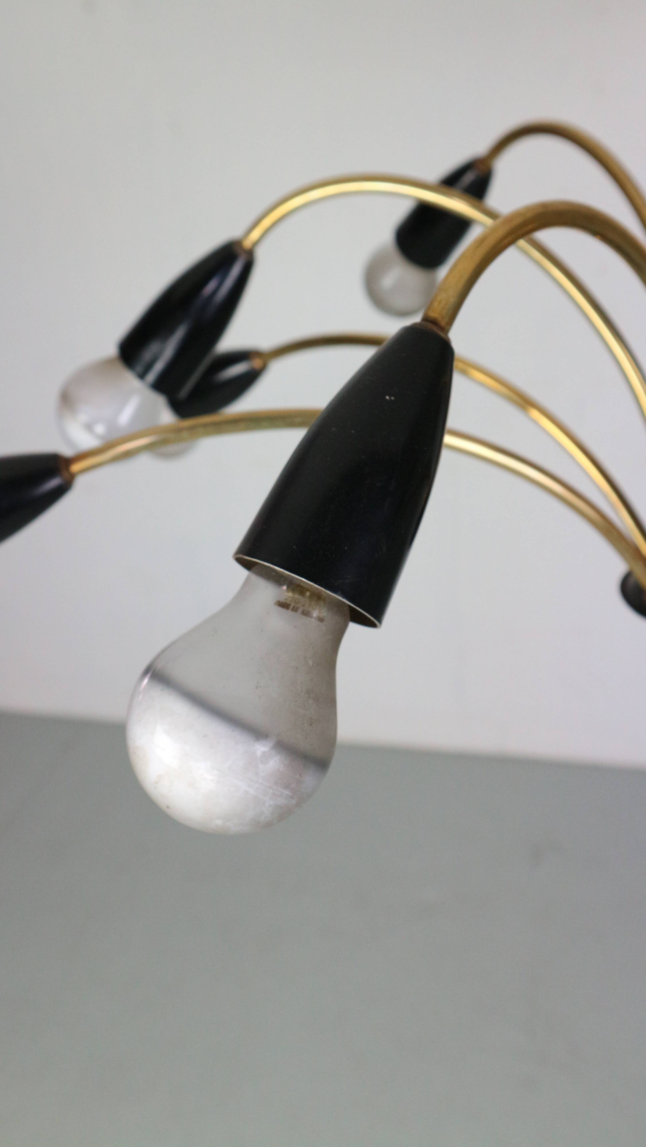Italian Black and brass 12 arm Spider Chandelier  1950s