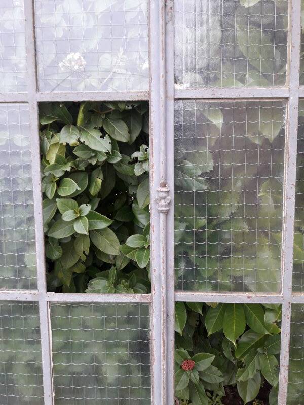 Window L107xH174 industrial curved metal glass roof frame reinforced glass