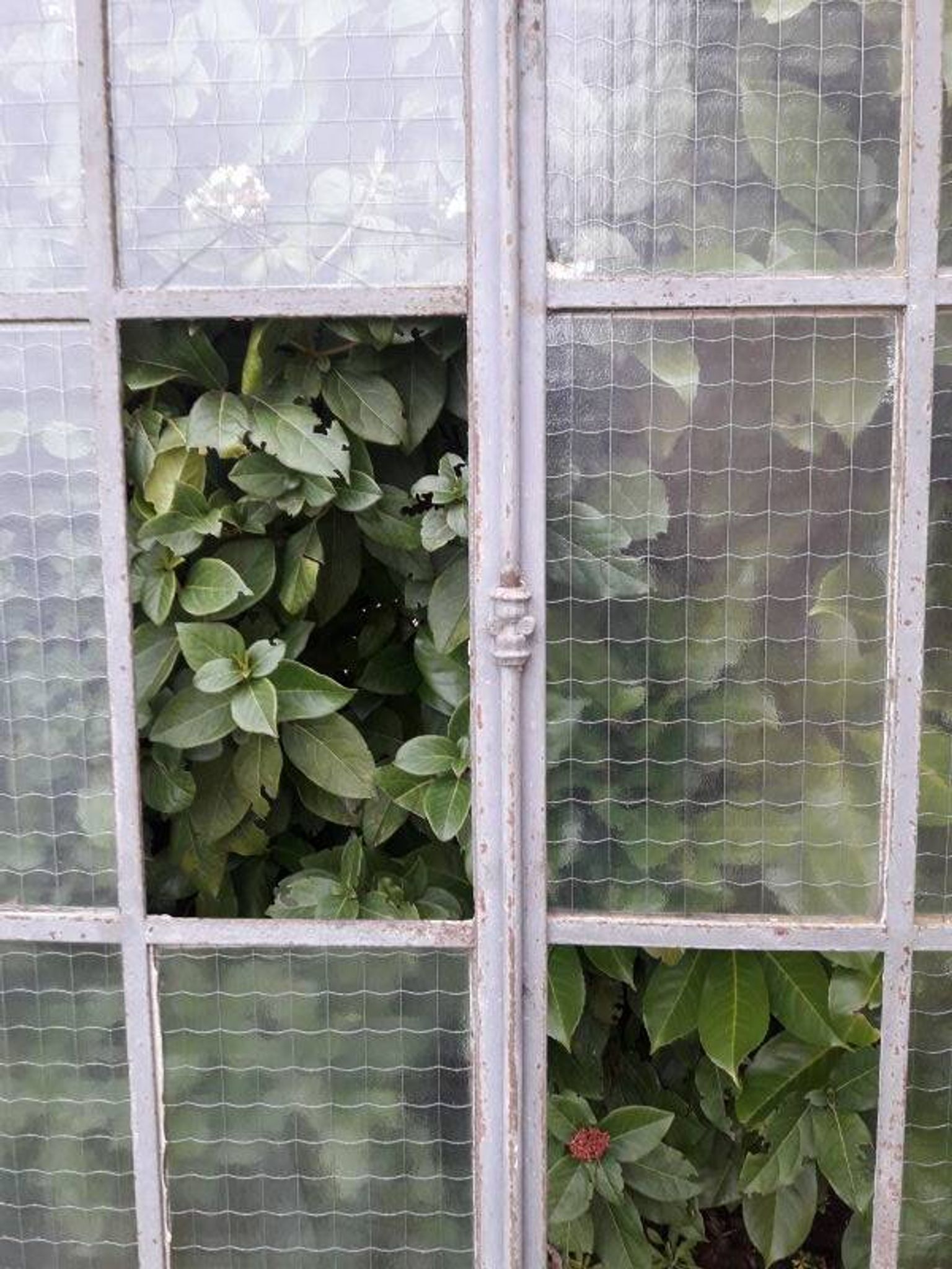 Window L107xH174 industrial curved metal glass roof frame reinforced glass