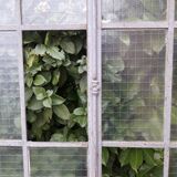 Window L107xH174 industrial curved metal glass roof frame reinforced glass