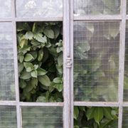 Window L107xH174 industrial curved metal glass roof frame reinforced glass