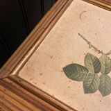 Hairdresser, vintage rattan desk, in the style of Audoux Minet.