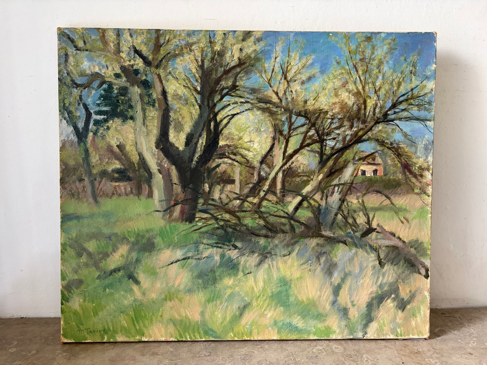 Paysage de forêt, huile sur toile signée Taquoy