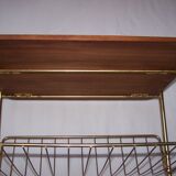 Occasional door-vinyls and magazine rack in the 1950s furniture