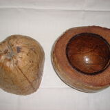 Ice bucket, naturalized coconut from 1970