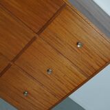 Vintage Mid-Century Dutch Shop / Apothecary Cabinet