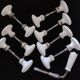 Set of 14 oval handles + 1 porcelain handle