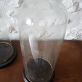 Globe of bride Napoleon III