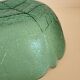 Arcoroc green cabbage leaf bowl - Punch