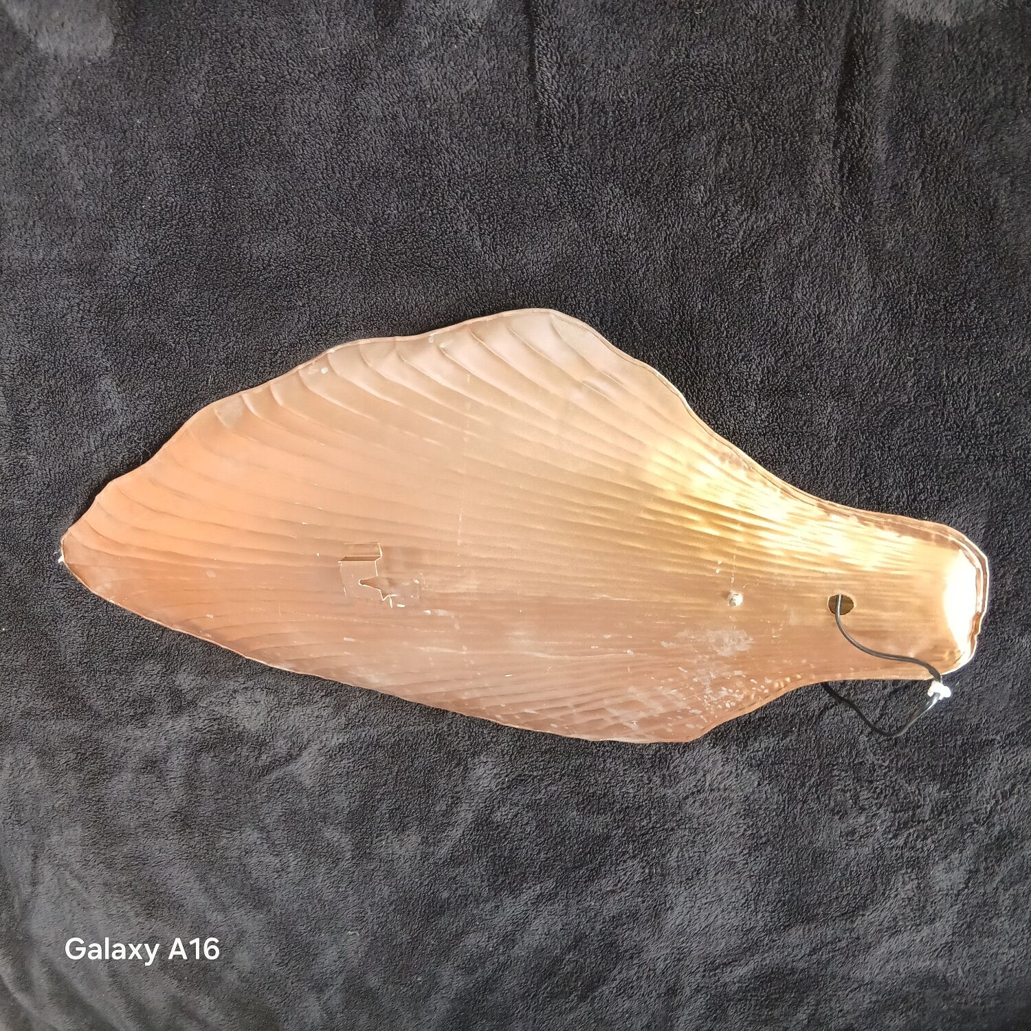 Huge shell art wall light