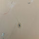 Mirror Antonio Lupi by crystal Luxor 60s 70s 59x80cm