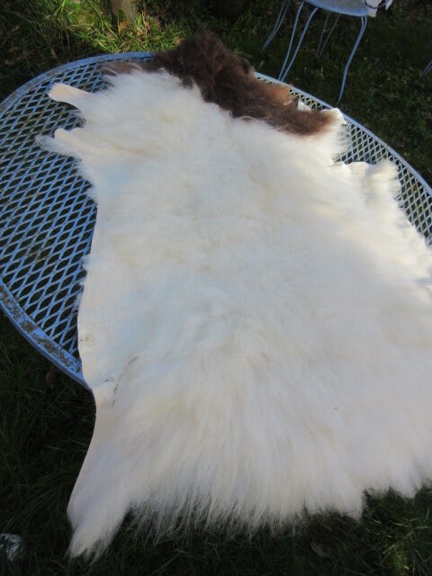 Sheepskin