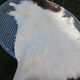 Sheepskin