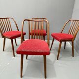 Antonín Šuman – ensemble de chaises des années 1960, Tchécoslovaquie